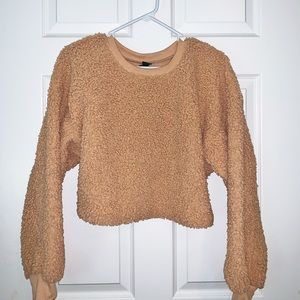 Wild Fable Teddy Bear Crop Sweater